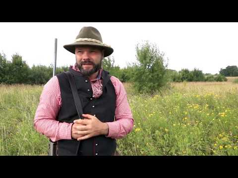 Видео: С охотой по жизни. Сезон 2. Охота на тетерева с дратхааром