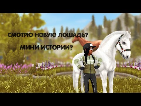 Видео: Смотрю новую лошадь? Мини истории? Солнышко в роли актера? | star stable online