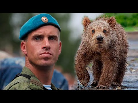 Видео: Медвежонок привел десантников к притравочной станции в лесу. Ребята разобрались как следует