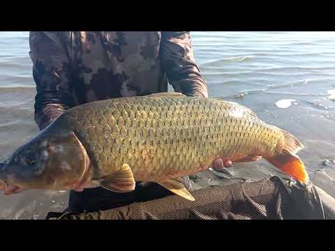 Видео: Трофей на 7.900!Молодцы👍