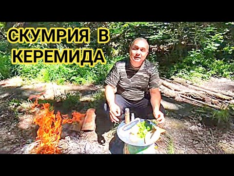 Видео: Печена скумрия на жар! Горско приключение с огън, риба в керемида и много красота и зеленина!