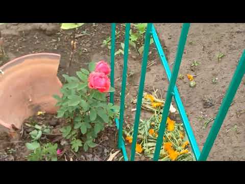 Видео: Вот и июнь подошёл к концу. Подведём итоги