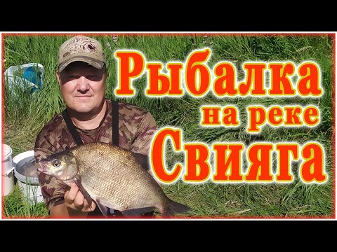 Видео: Неожиданный бонус. Ловля густеры на фидер. Новые открытия на реке Свияга.