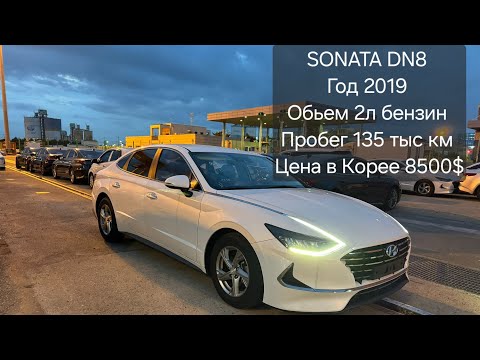 Видео: SONATA DN8 Год 2019. Обьем 2л бензин. Пробег 135 тыс км. Цена в Корее 8500$