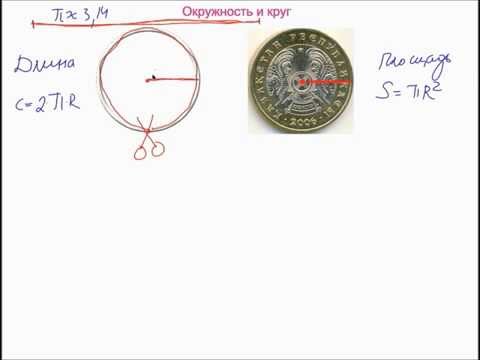 Видео: Окружность и круг