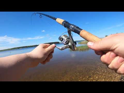 Видео: Мой первый сом/Вытащил сеть/озеро Удомля