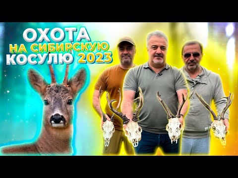 Видео: Фильм "Охота на сибирскую косулю 2023".