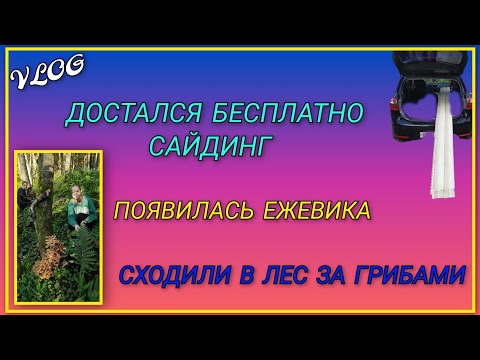 Видео: 🍒 VLOG: Доставка из Пятёрочки/ Достался сайдинг с дома под разбор/ Появилась ежевика/ Сходили в лес