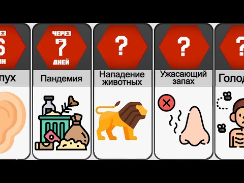 Видео: Что если все люди ослепнут