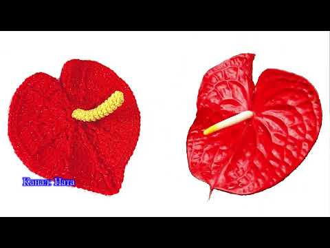 Видео: Цветок Антуриум крючком - Схема + подробный Мастер-класс