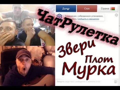 Видео: ЧатРулетка - Мурка, Плот, Армейская, Звери...