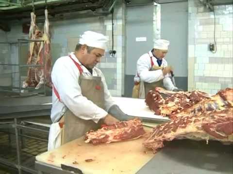 Видео: Открытие нового цеха на комбинате «Даурский»