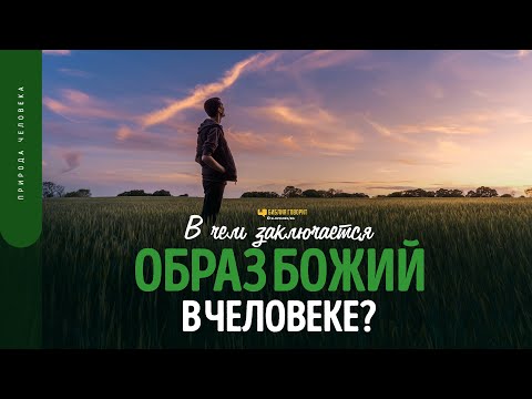 Видео: В чем заключается образ Божий в человеке? | "Библия говорит" | 1728