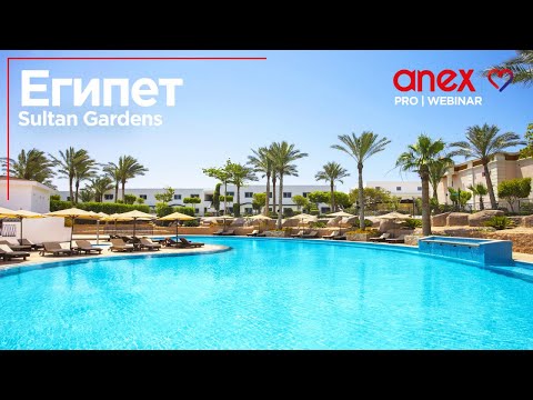 Видео: Новости Sultan Gardens!