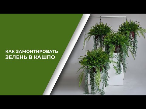 Видео: Как замонтировать зелень и цветы в кашпо | Секреты, Лайфхаки, инструмент, материалы