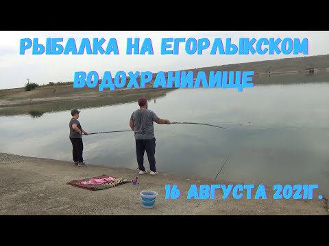 Видео: Рыбалка на Егорлыкском Водохранилище 16 августа 2021г.