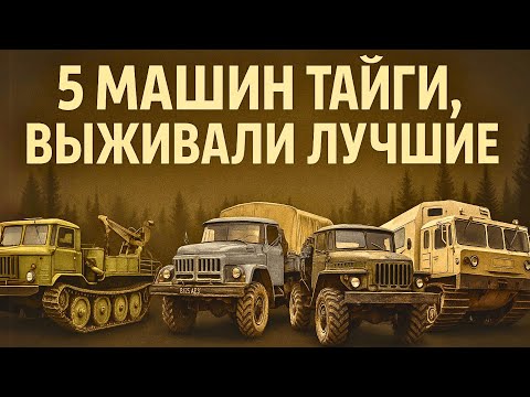 Видео: Тайга Не Прощала Ошибок! Эти 5 Машин Прошли Всё