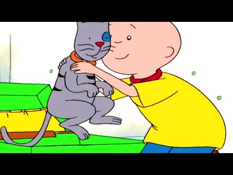 Видео: Каю и Чемодан | Каю на русском | Мультфильм Каю | Мультики для детей