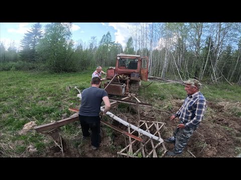 Видео: ПАШЕМ ПОЛЯ ПОД ОВЕС НА ТРАКТОРЕ ДТ-75 СВЕЖИЙ СЛЕД МЕДВЕДЯ 2024