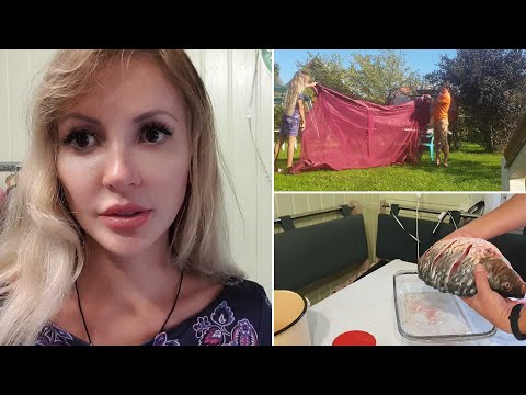 Видео: Примеряем новый ТЕНТ | Готовим ЖИРНОГО КАРПА на УЖИН 🐟 | Небольшая ЗАКУПКА в магазинах 🛒