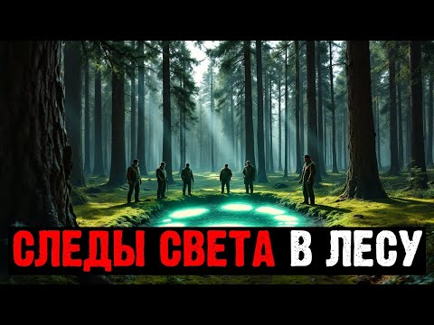 Видео: ЗАПРЕТНЫЙ ЛЕС НА КОЛЫМЕ: КАКИЕ СЛЕДЫ НАШЛИ ГЕОЛОГИ ПОСЛЕ НЕОБЪЯСНИМОГО СВЕТА?