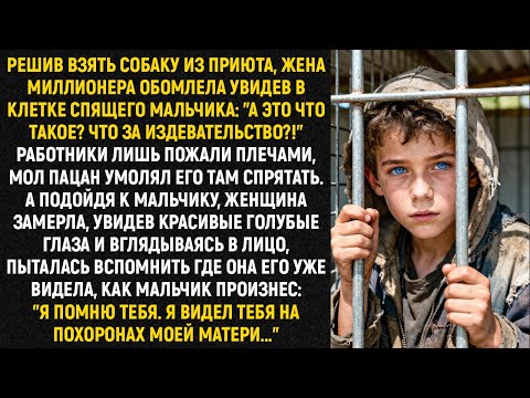 Видео: Решив взять собаку из приюта, жена миллионера обомлела увидев в клетке спящего мальчика...