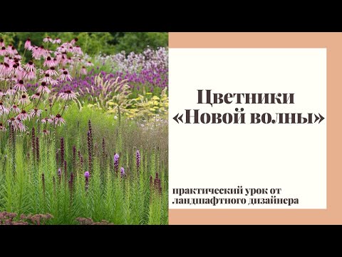 Видео: Цветники «Новой волны». Практический урок.