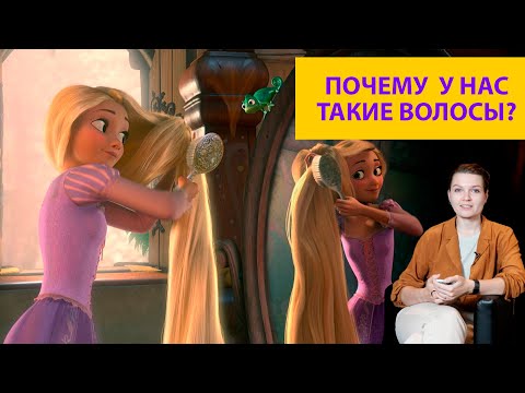 Видео: Почему у человека длинные волосы? Елена Сударикова