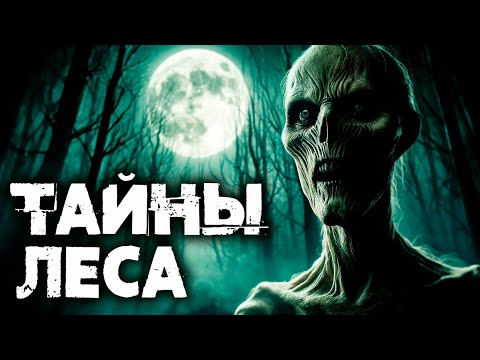 Видео: ТАЙНЫ ЛЕСА | Таёжные Истории