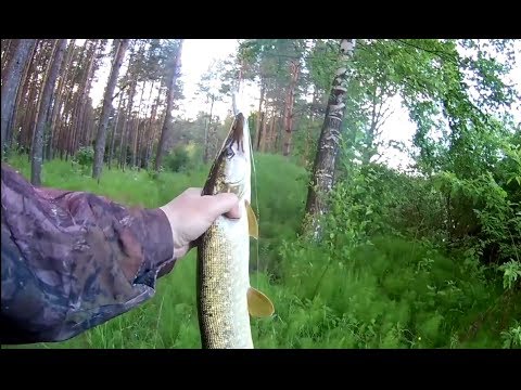 Видео: JohnCoo -ThunderBolt 210. Бюджетный кастинговый комплект.