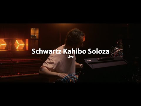 Видео: Schwartz Kahibo Soloza - ДОМ Live (Москва 14.10.23)