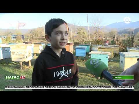 Видео: Глава Ингушетии навестил победительницу первого конкурса на "Лучшее ЛПХ - 2021".