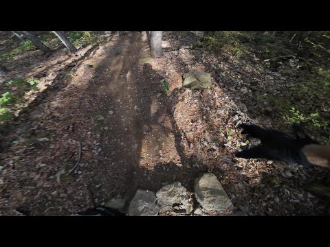 Видео: човка, мишка и най-бързото ми каране на Благоевград досега