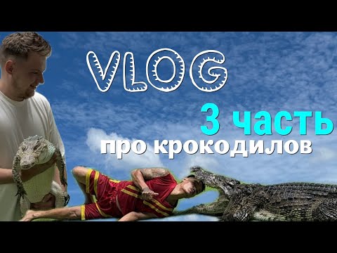 Видео: В КЛЕТКЕ С КРОКОДИЛАМИ, ПХУКЕТ, 2024 год, КРОКОДИЛОВАЯ ФЕРМА