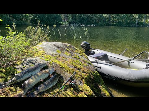 Видео: Наловил ЩУКИ на КИТАЙСКИЙ воблер | Рыбалка в Архангельской области | Ловля щуки на спиннинг