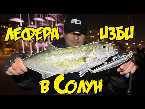 Видео: ЛЕФЕРА ИЗБИ В СОЛУН! ГРАДСКИ МОРСКИ РИБОЛОВ!