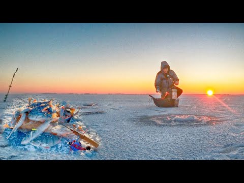 Видео: ЩЕДРЫЙ ПЕРВЫЙ ЛЁД 2022-2023 НА БОЛЬШОЙ ВОДЕ. Ловля окуня на балансир.