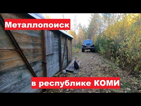 Видео: Осенние приключения в лесах Коми: рыбалка, металлокоп, и поиск железа по делянкам СССР.