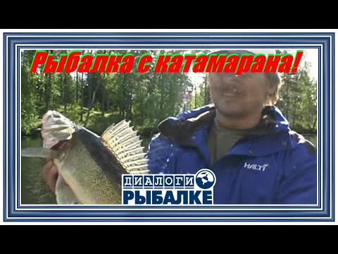 Видео: Диалоги о рыбалке - 017/ Рыбалка с катамарана!