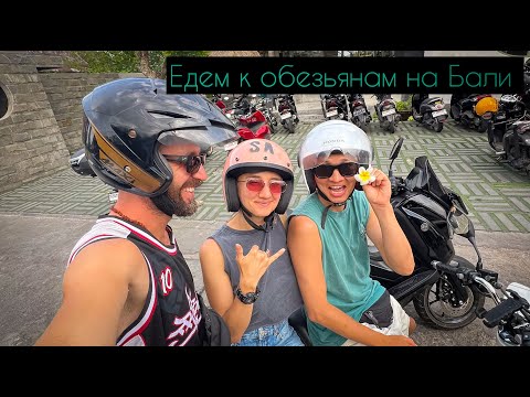 Видео: UBUD - ЛЕС ОБЕЗЬЯН НА БАЛИ