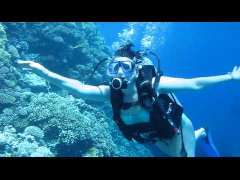 Видео: Подводное плавание на Красном море!