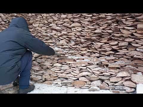 Видео: Среда. 29.10.2025г. | 15:20