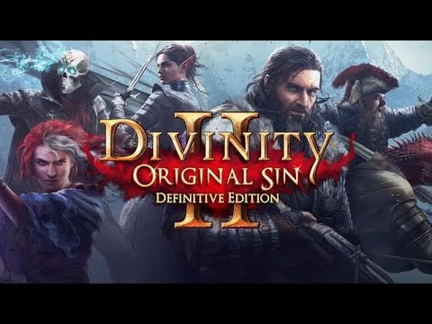 Видео: Обзор игры: Divinity  "Original Sin" 2 (2017).