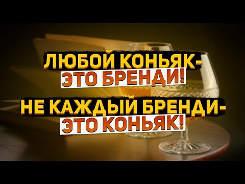 Видео: Что такое бренди? Любой коньяк  это бренди, но не каждый бренди это коньяк