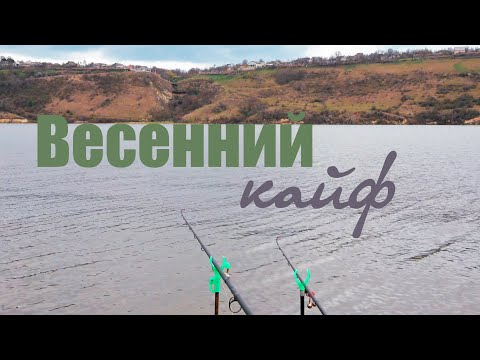 Видео: Флэт фидер весной. Красивые поклёвки и опарыш на волосе.