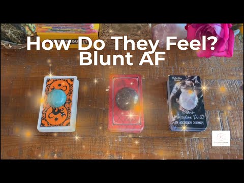 Видео: Pick-a-Card: Как они себя чувствуют? Тупой аф!