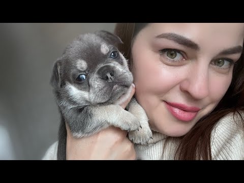 Видео: Красотища от Лекса ! Весна богата на детей !