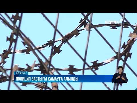 Видео: Талдықорған полициясының бастығы әйел зорлады деген күдікпен ұсталды