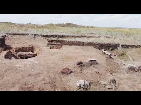 Видео: Раскопки уникального могильника продолжаются в Костанайской области