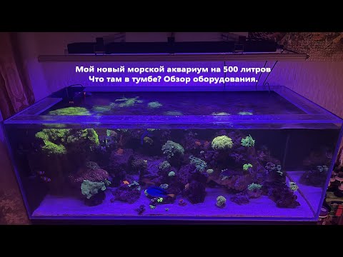 Видео: Мой новый морской аквариум 500 литров. Обзор аквариума и оборудования.